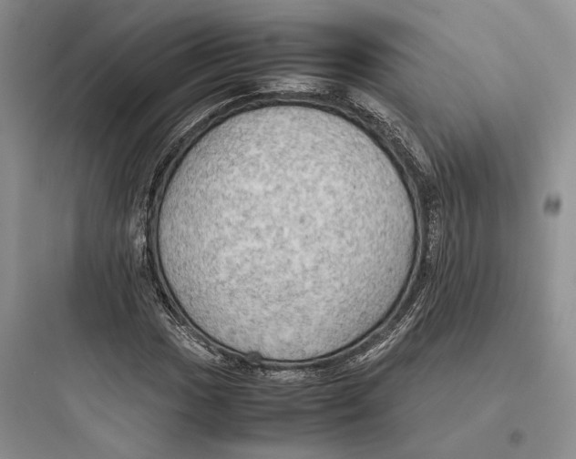 X0000097601017200803211655