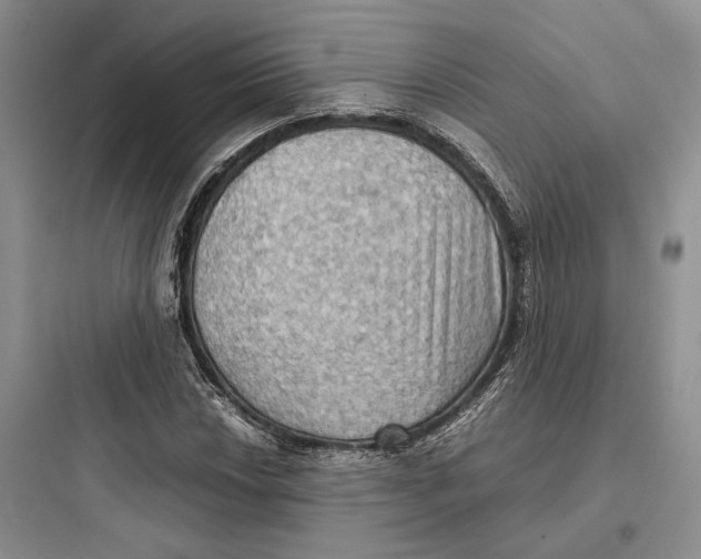 X0000097601018200803211655