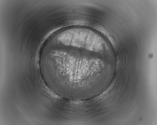 X0000097601019200803211655