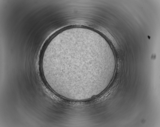 X0000097601020200803211655