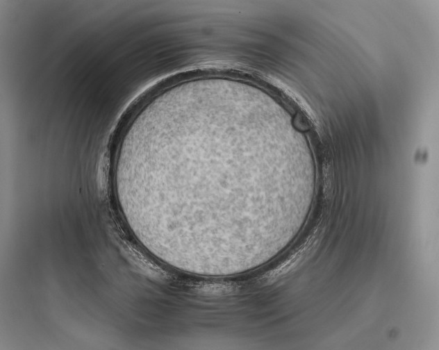 X0000097601021200803211655