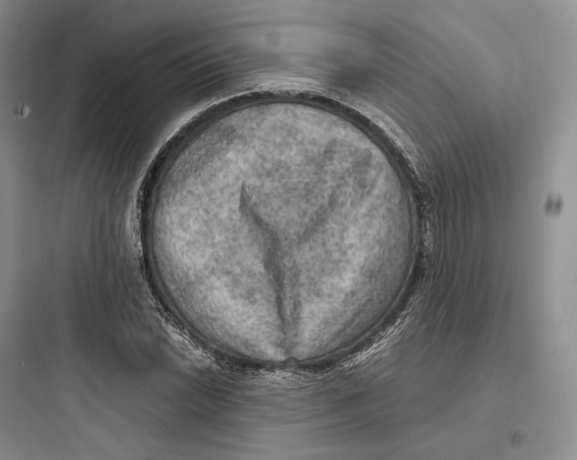 X0000097601022200803211655