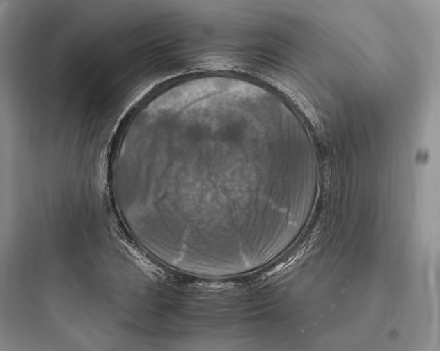 X0000097601023200803211655