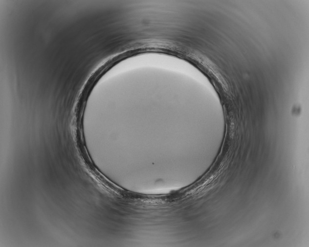 X0000097601024200803211655