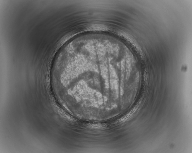 X0000097601025200803211655