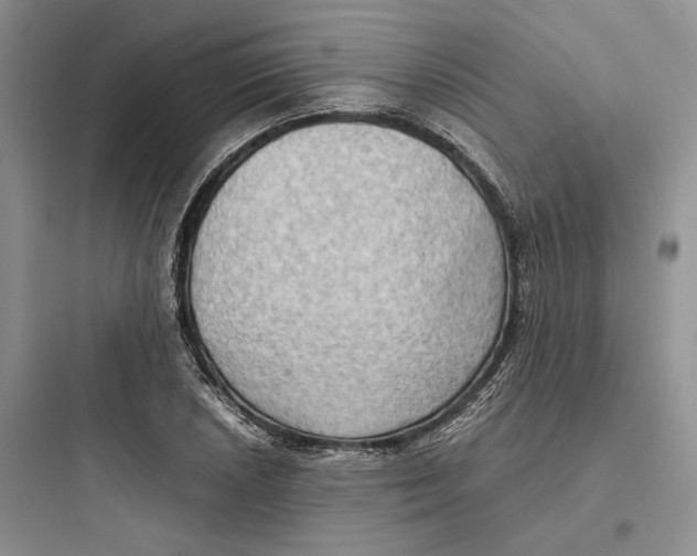 X0000097601026200803211655