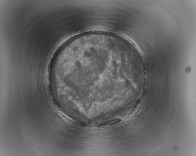X0000097601027200803211655