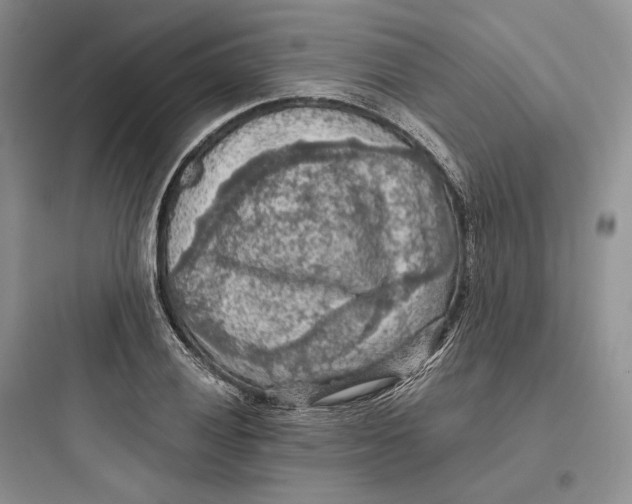 X0000097601028200803211655