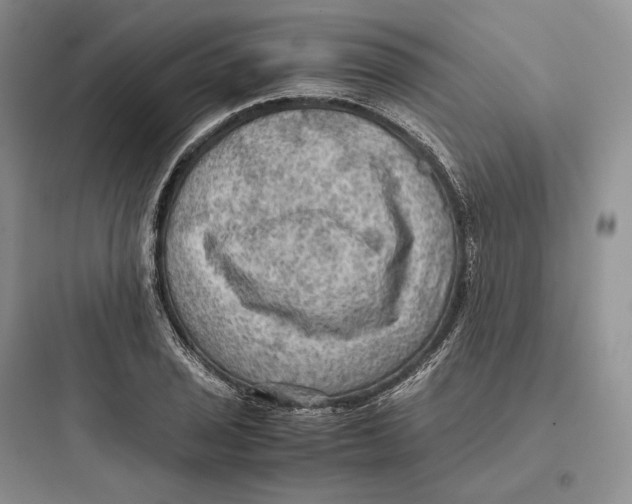 X0000097601029200803211655