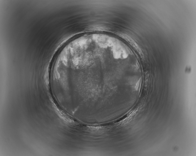 X0000097601031200803211655