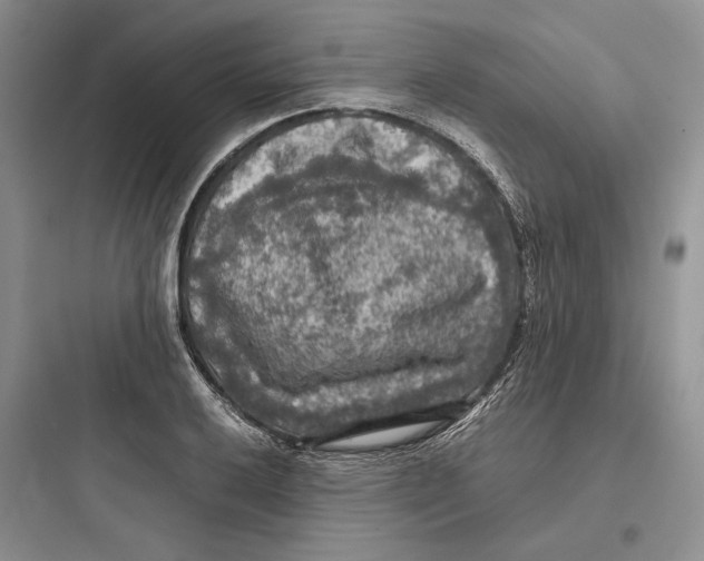 X0000097601032200803211655
