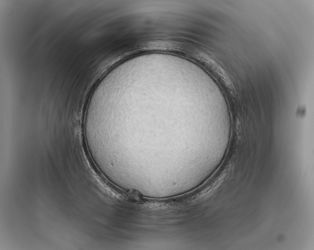 X0000097601033200803211655
