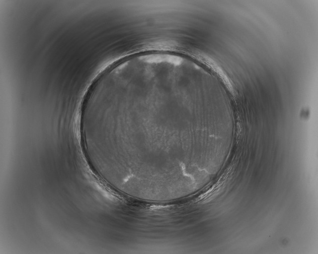 X0000097601035200803211655