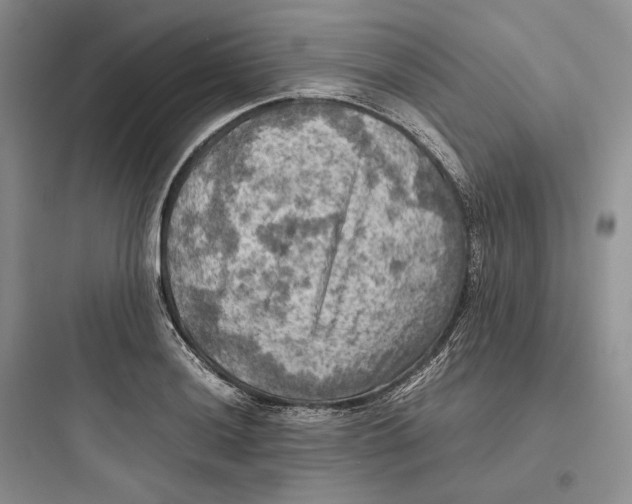 X0000097601036200803211655
