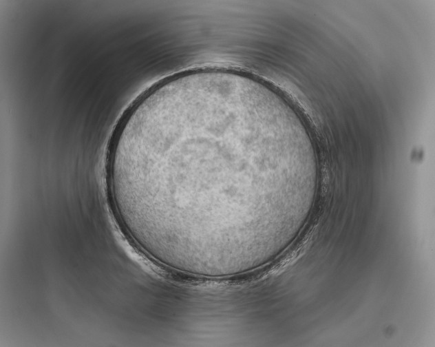 X0000097601038200803211655