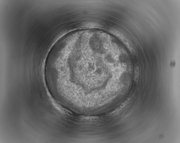 X0000097601039200803211655