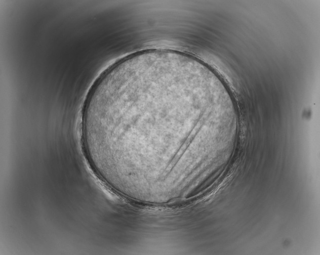 X0000097601040200803211655