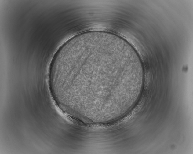 X0000097601042200803211655