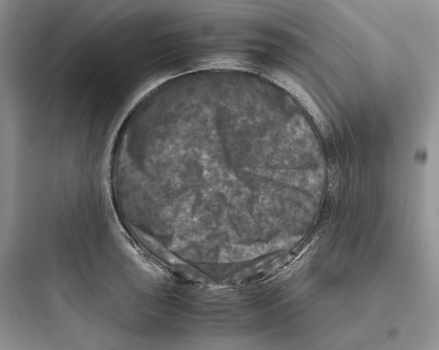 X0000097601043200803211655