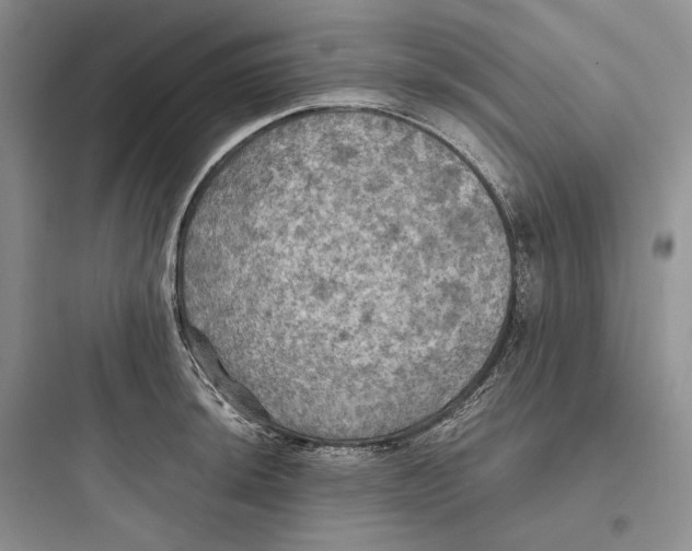 X0000097601044200803211655
