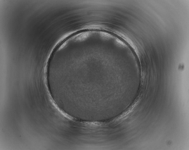 X0000097601045200803211655