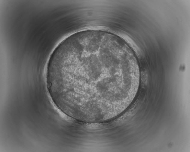 X0000097601046200803211655