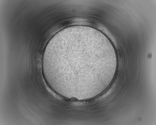 X0000097601049200803211655
