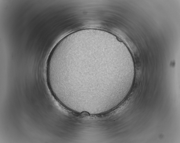 X0000097601050200803211655