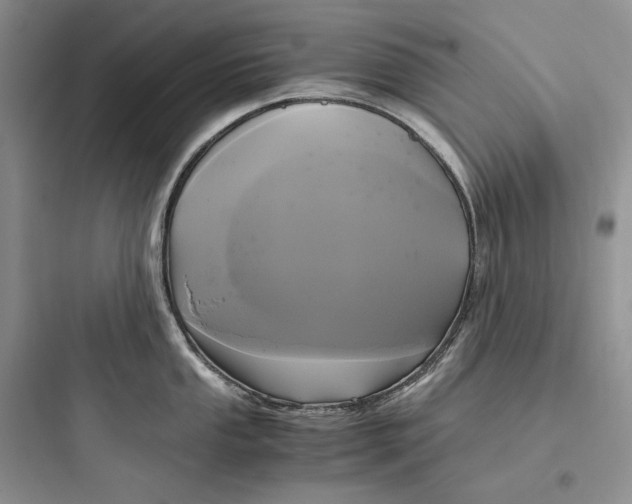 X0000097601053200803211655
