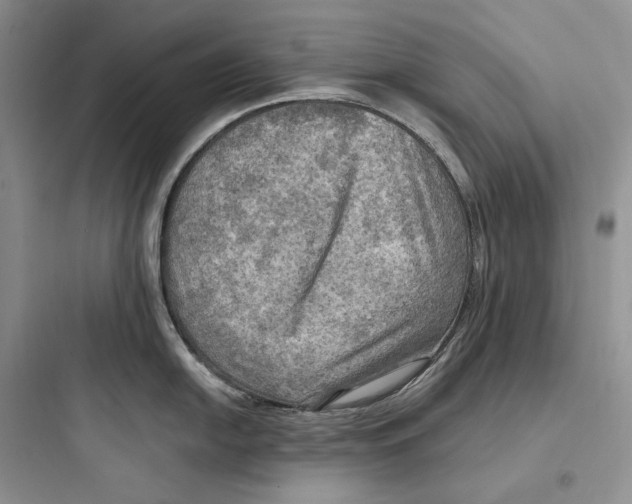 X0000097601054200803211655