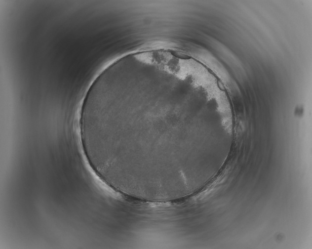 X0000097601055200803211655