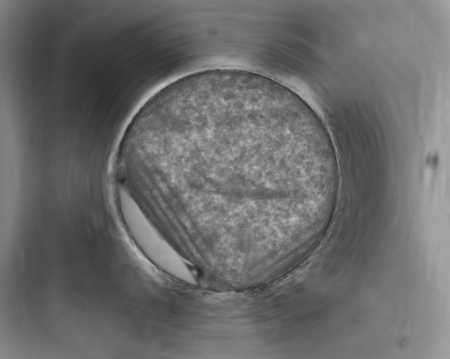 X0000097601056200803211655