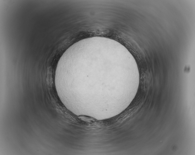 X0000097601058200803211654