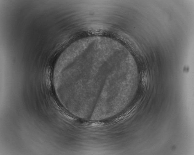 X0000097601060200803211654