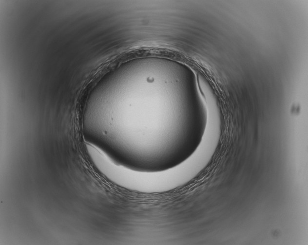 X0000097601062200803211654