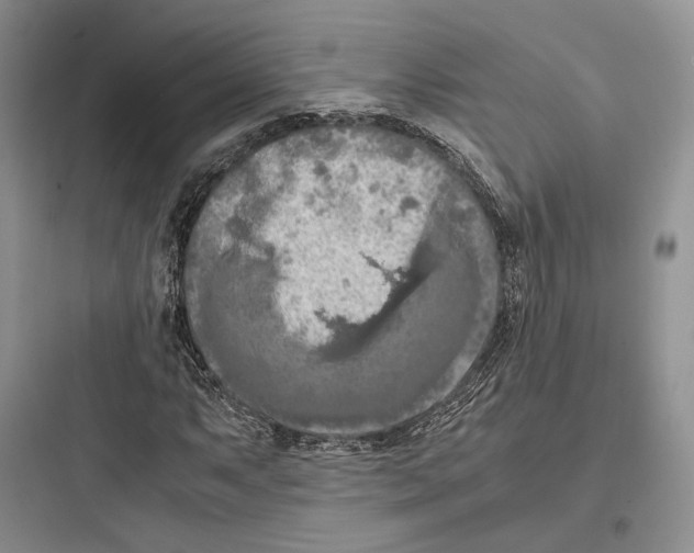 X0000097601063200803211654