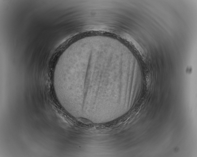 X0000097601064200803211654
