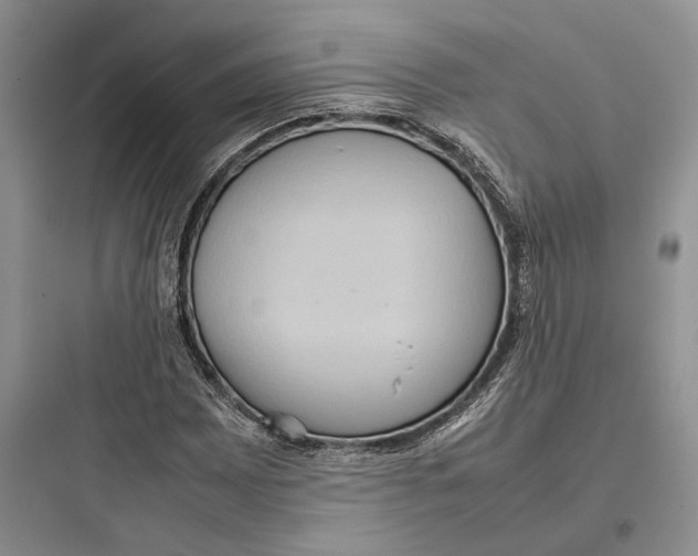 X0000097601065200803211654