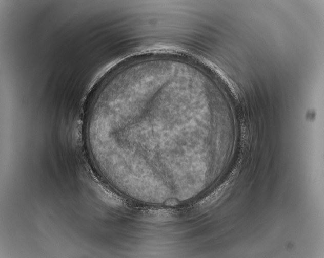 X0000097601066200803211654