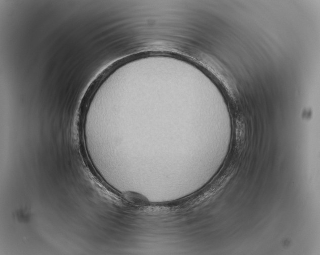 X0000097601068200803211654
