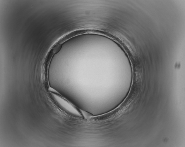 X0000097601069200803211654