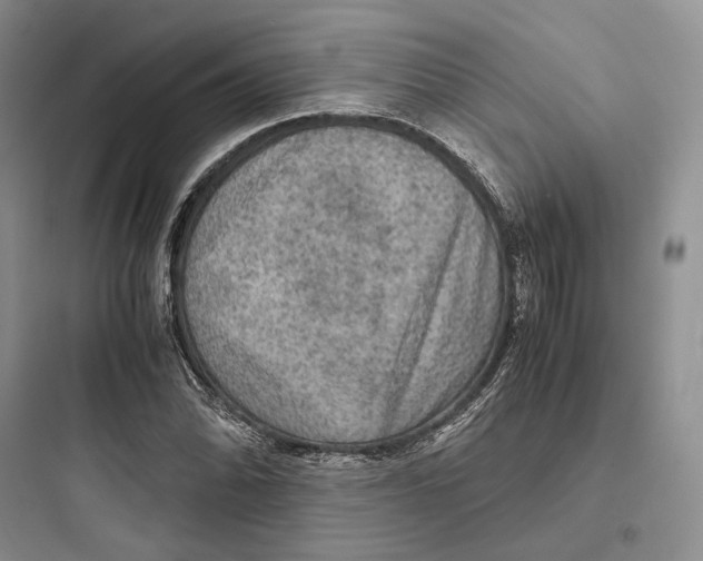 X0000097601070200803211654