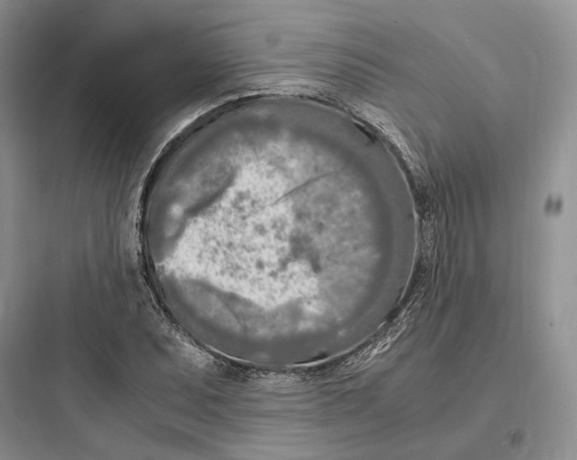 X0000097601071200803211654