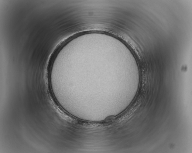X0000097601072200803211654