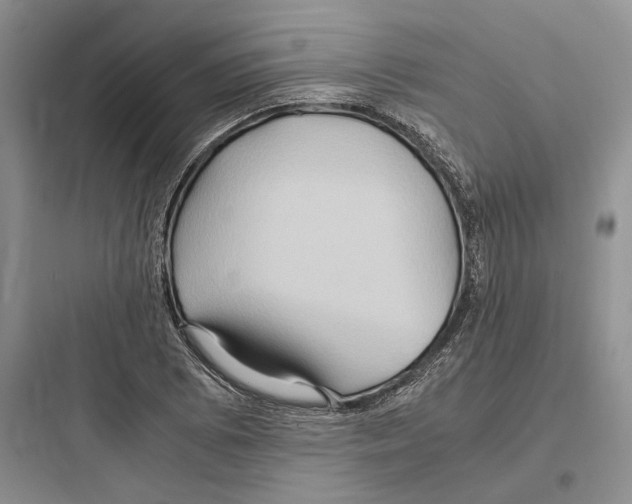 X0000097601073200803211654
