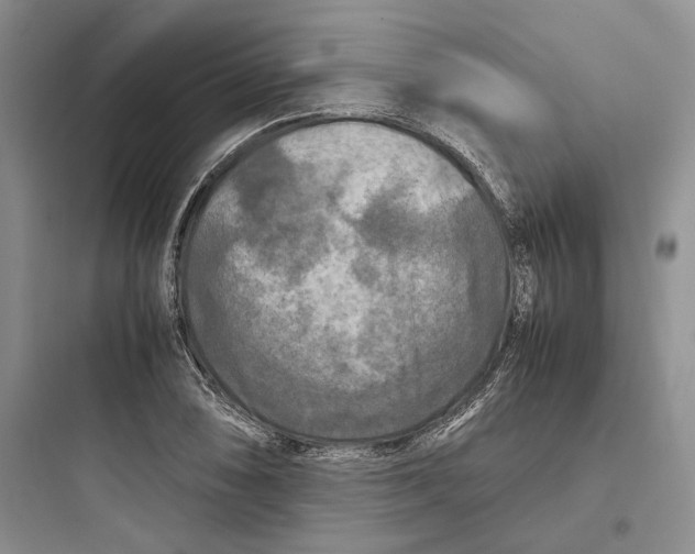 X0000097601074200803211654