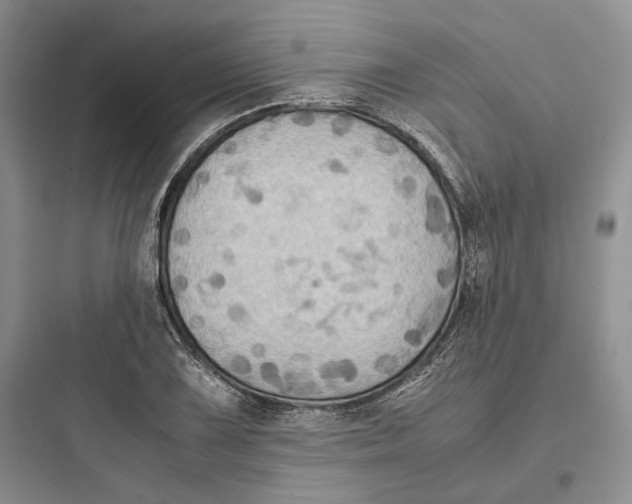 X0000097601075200803211654