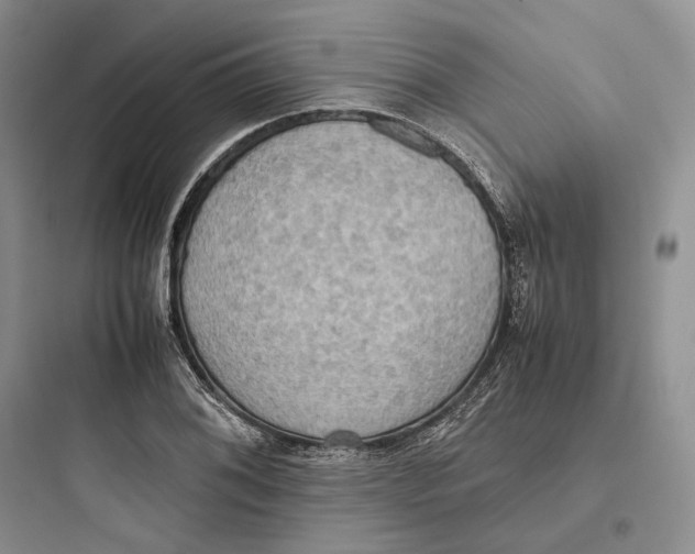 X0000097601076200803211654