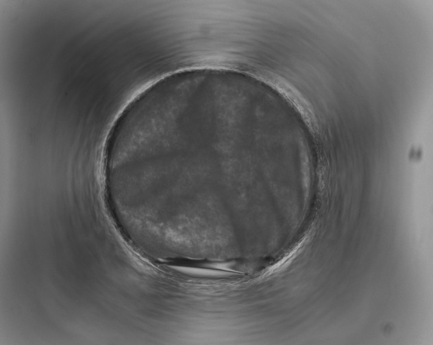 X0000097601077200803211654