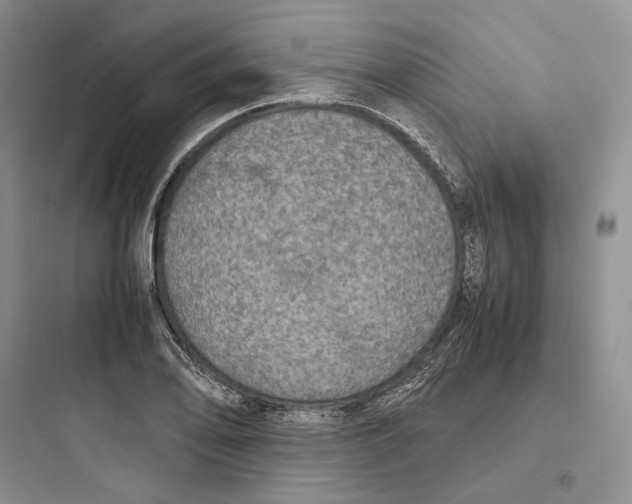 X0000097601078200803211654